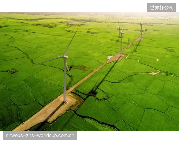 接入地表太阳能发电系统，正成为体育地产品牌回应RE100绿色倡议并优化财务模型的战略选择